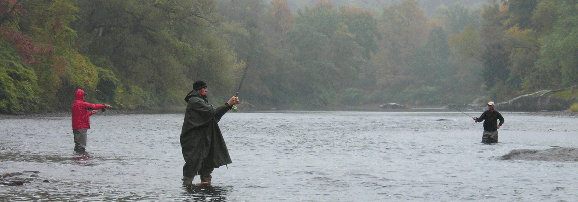 Fly Casting