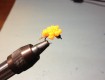 Egg Patterns For Trout Success