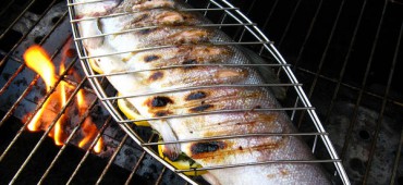 Grilled Garlic Trout