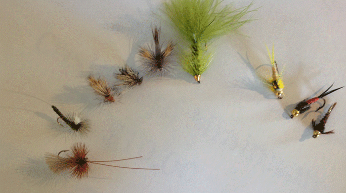 Flies