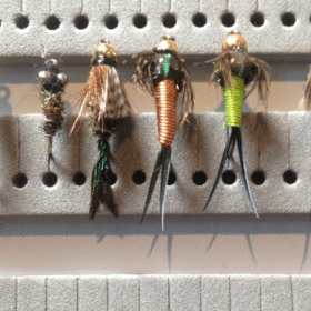 Nymphs