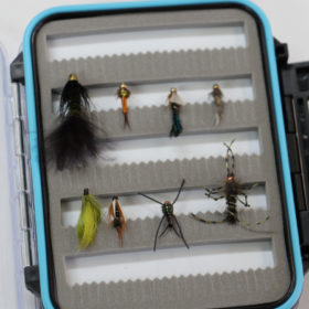 Flies