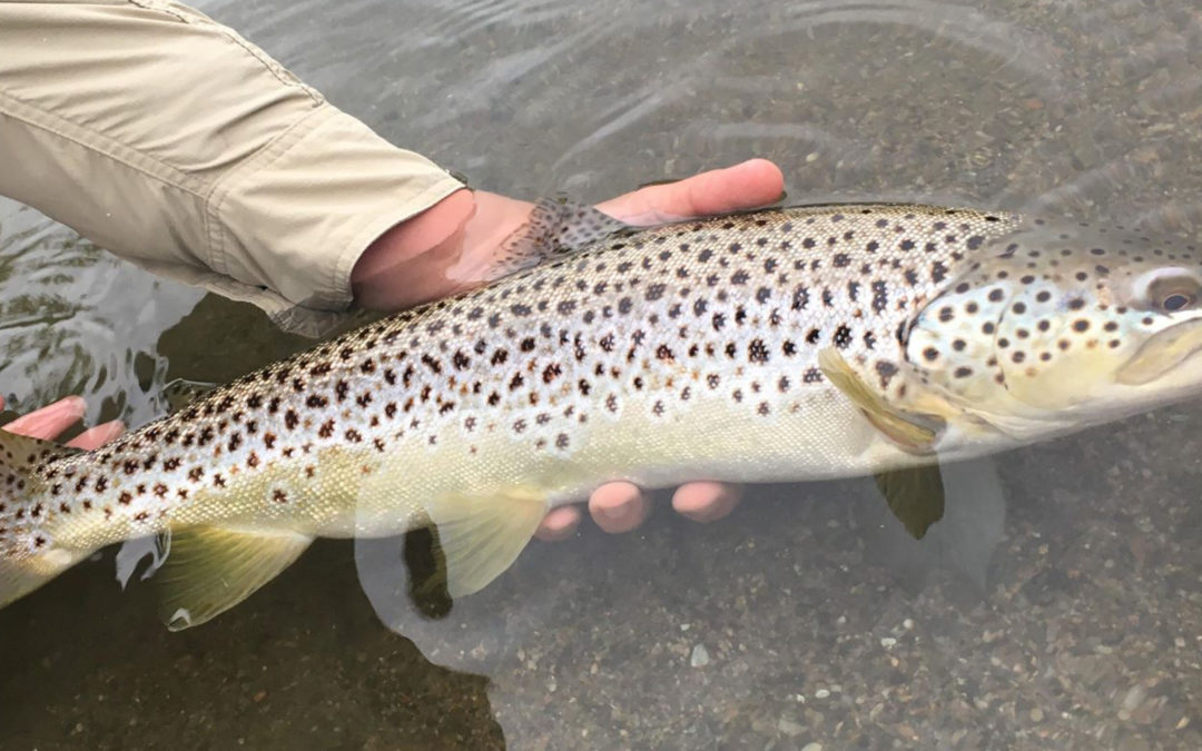 Vermont River Conditions-9/23/19 | The Fly Rod Shop