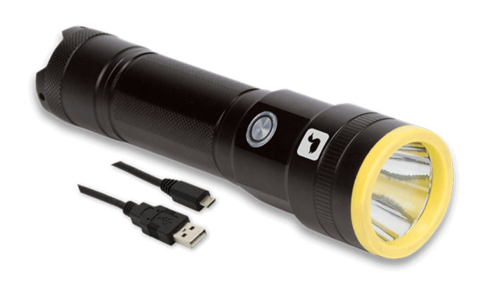 Loon Plasma Light